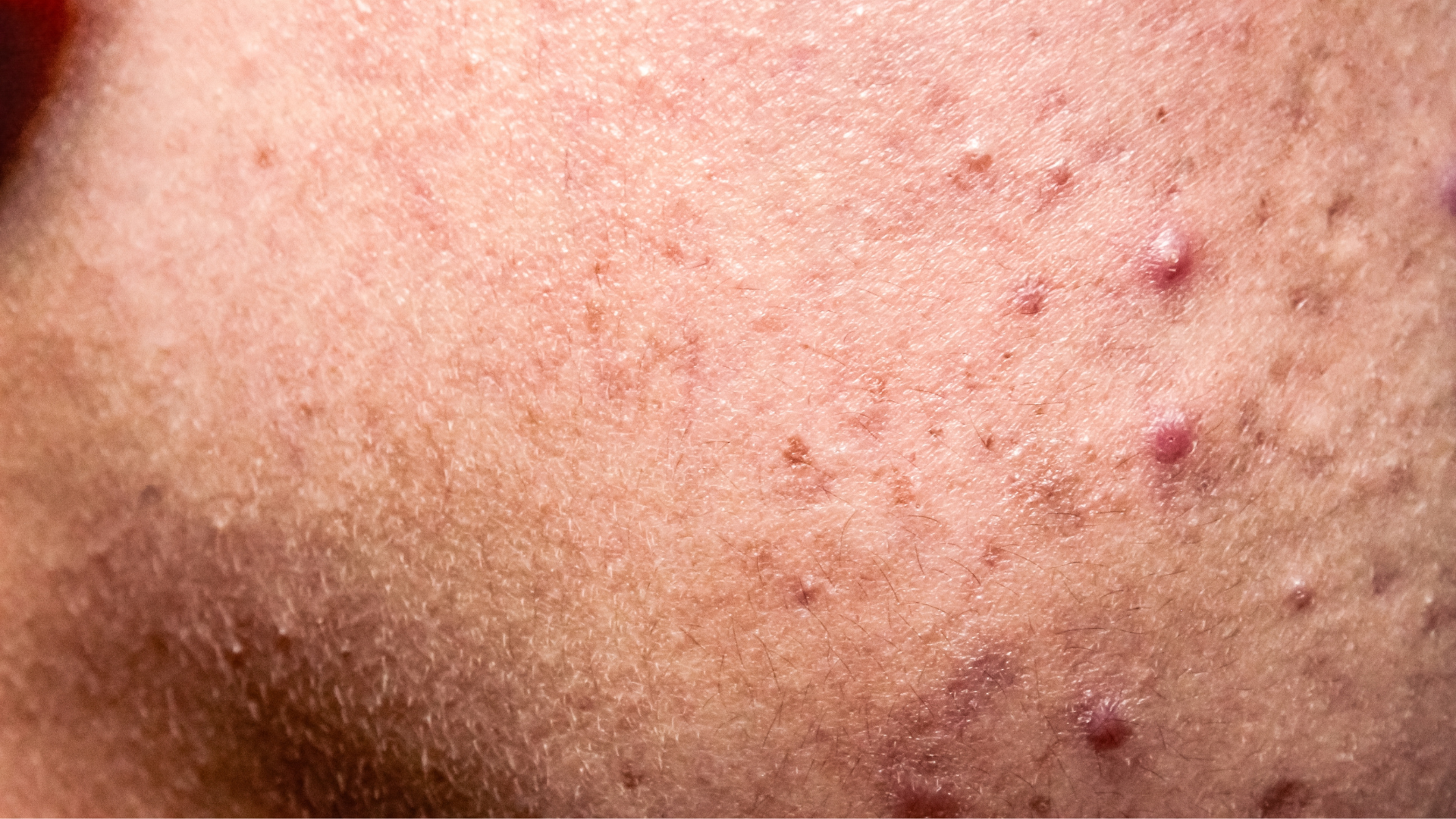 名称未設定のデザイン (38)