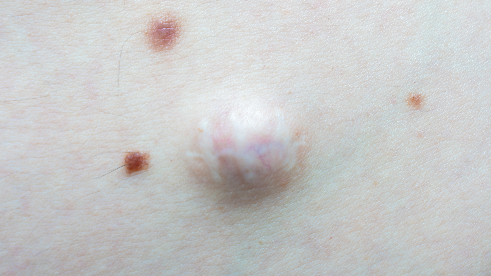 名称未設定のデザイン (46)