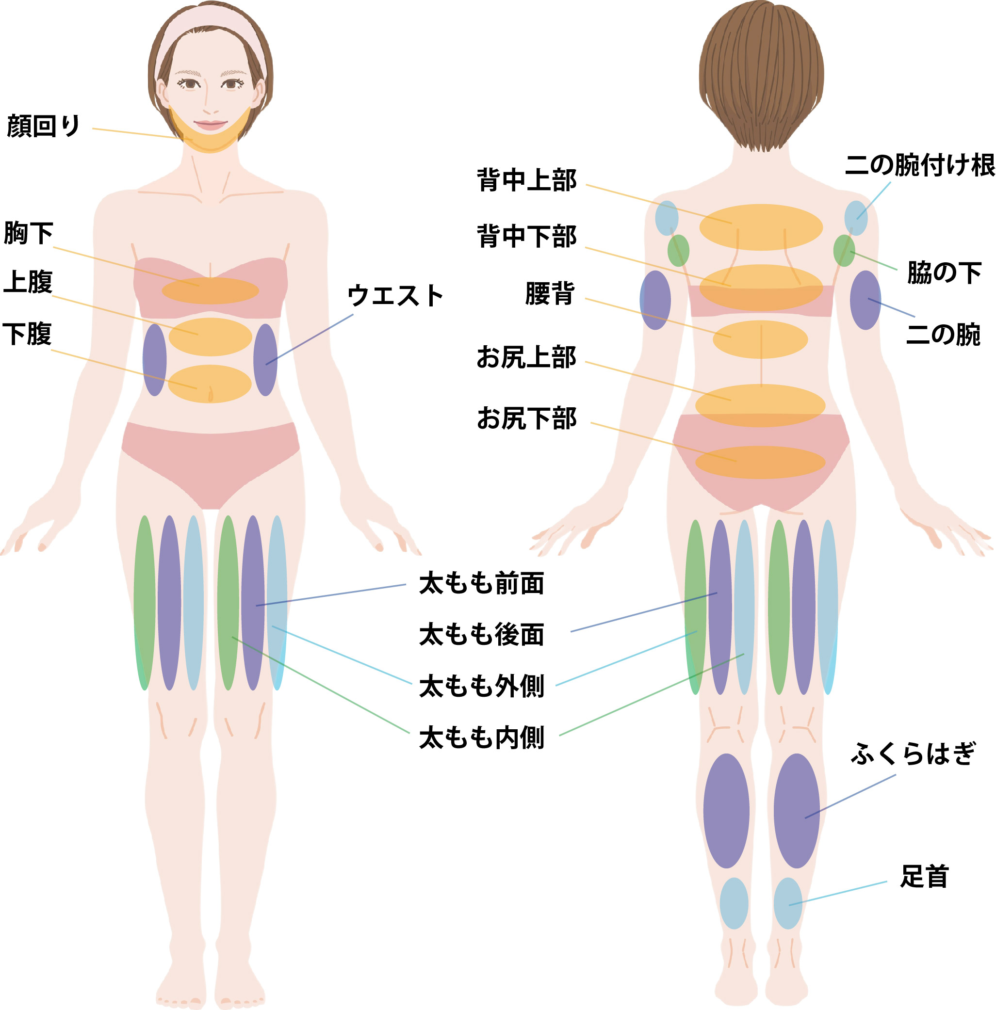 脂肪吸引LP画像30